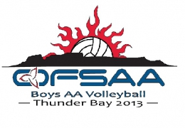 ofsaa